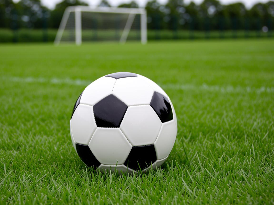 爱游戏app注册-拜仁慕尼黑稳坐榜首，欧洲联赛豪门劲旅逐鹿高峰  第2张