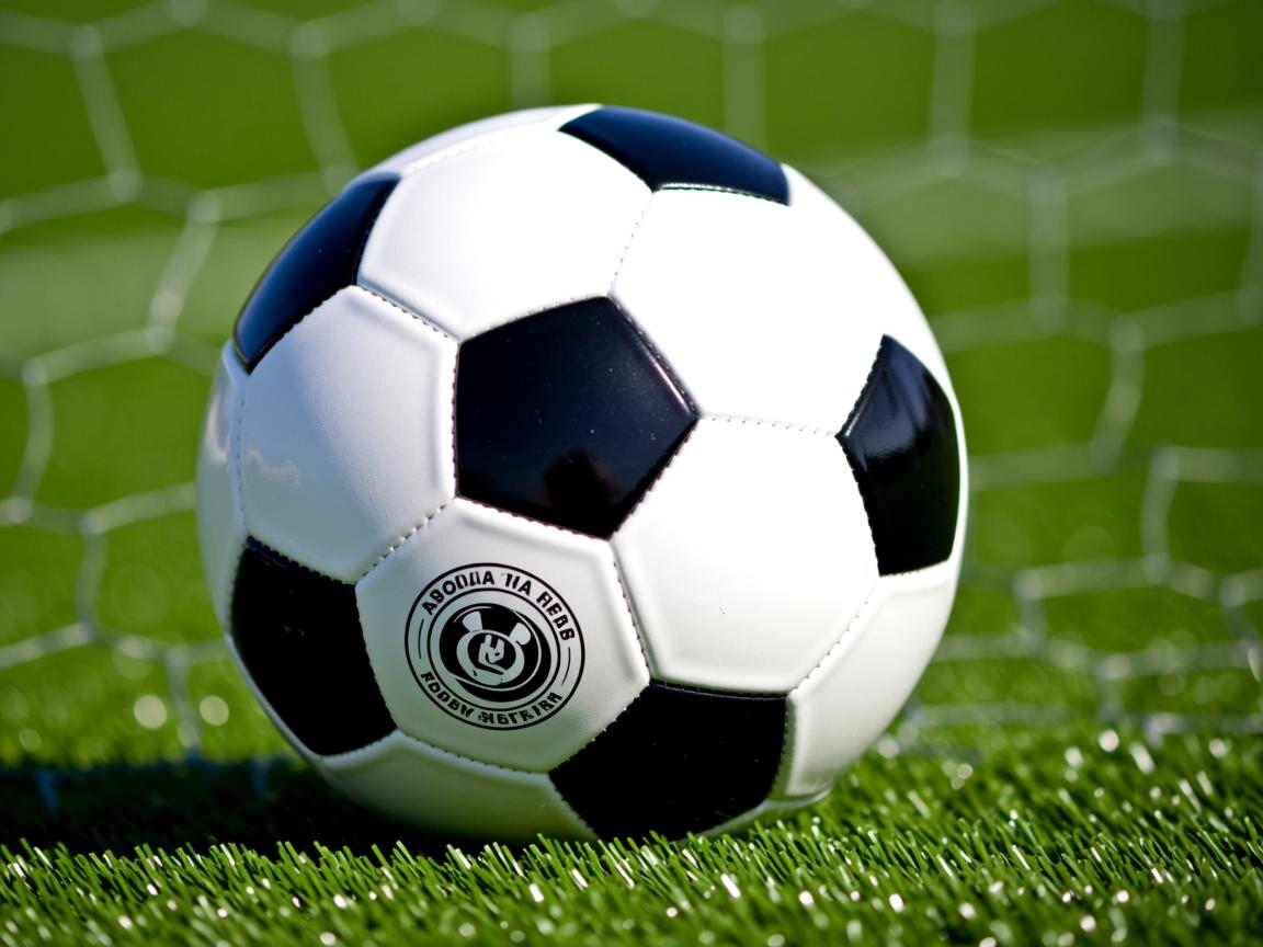 爱游戏体育在线-江苏队主场强势反击，成功击败辽宁男篮