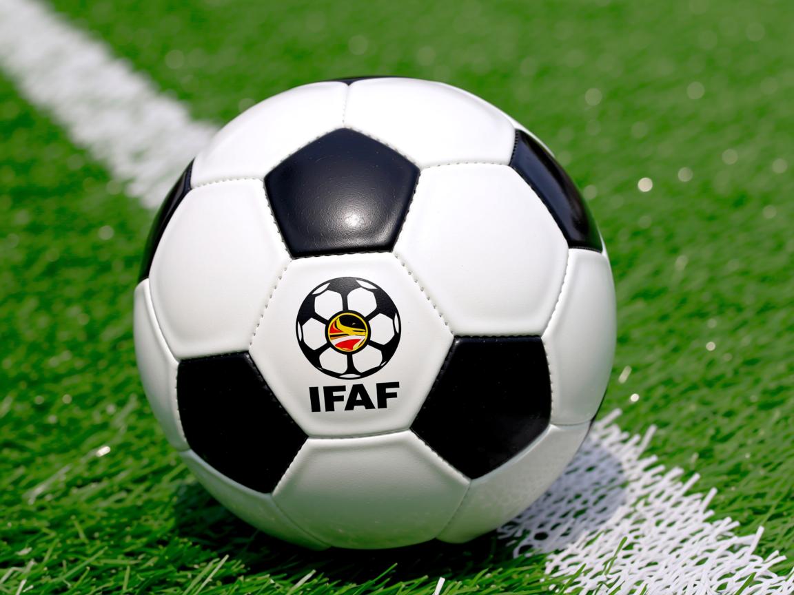 爱游戏app活动-篮网击败太阳，取得重要胜利  第2张