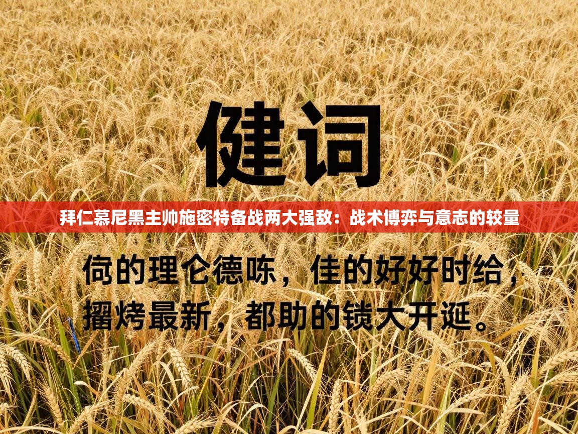 拜仁慕尼黑主帅施密特备战两大强敌:战术博弈与意志的较量 第2张