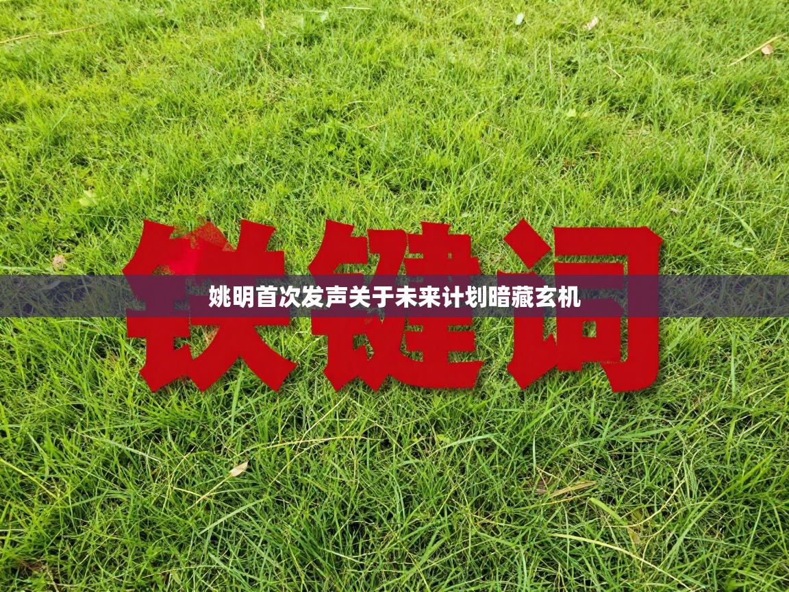 姚明首次发声关于未来计划暗藏玄机 第2张