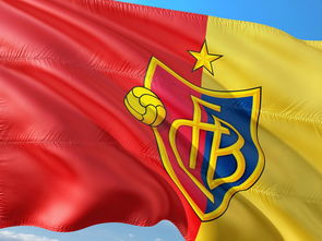 爱游戏ayx-全国青少年足球超级联赛战况激烈，全国青少年少年足球联赛  第3张